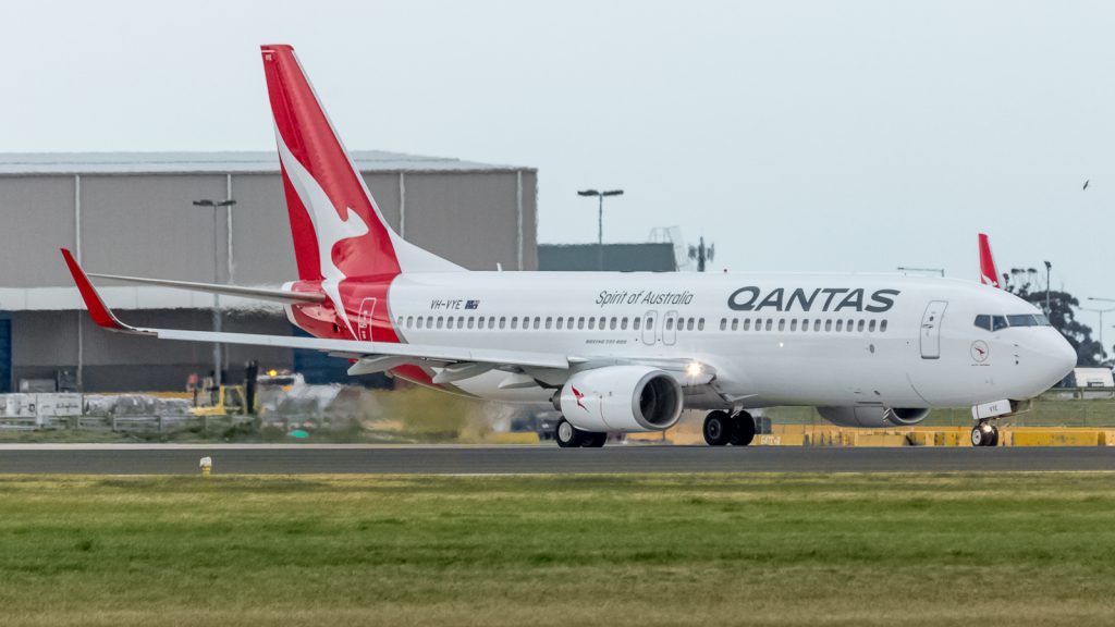 Qantas Silver Roo