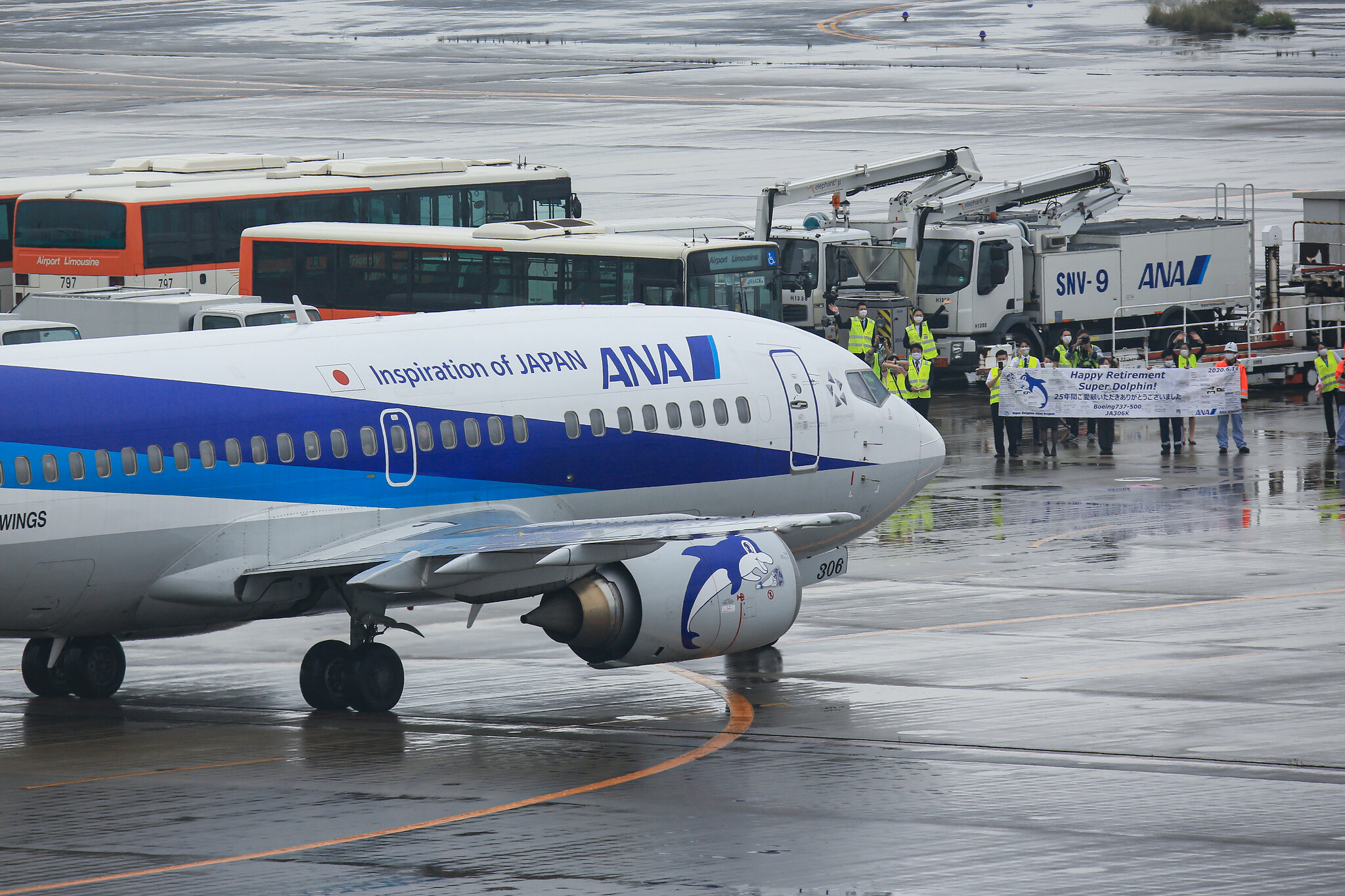 ANA All Nippon Airways Retires 737-500 - Airport Spotting